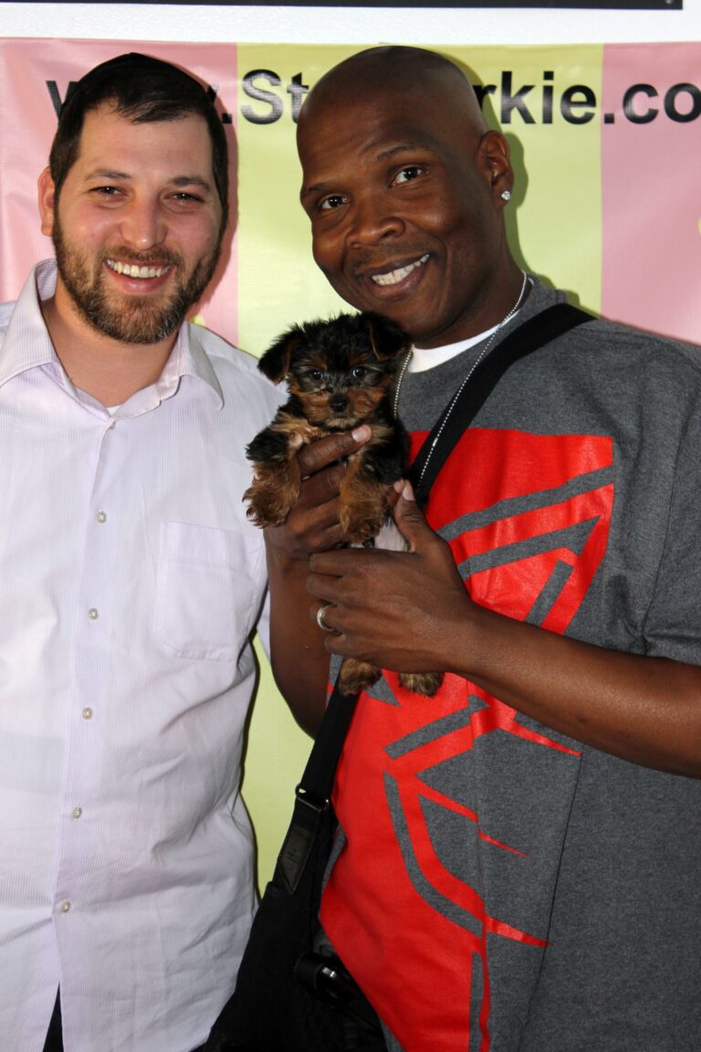 Big-Boy-from-The-Radio-gallery-img-2015-12-21-22-54-11-scaled