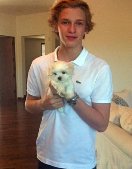 Cody-Simpson-with-the-Teacup-Maltese-Puppy-from-Puppy-Heaven-gallery-img-2015-12-24-21-42-21
