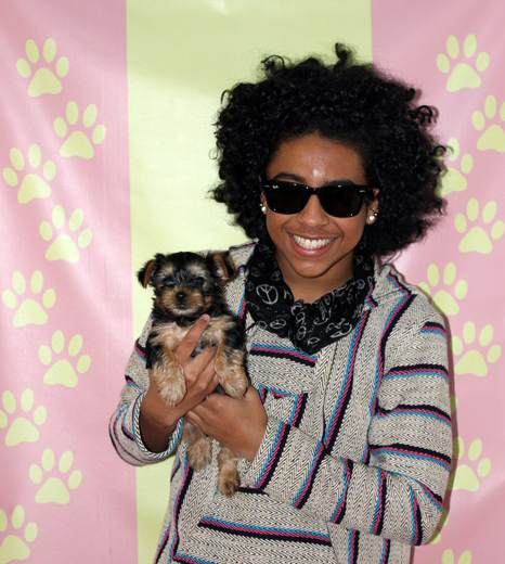 Princeton-gallery-img-2015-12-22-22-10-30